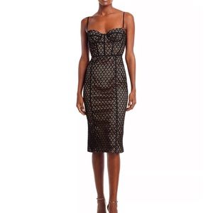 Bardot Charley Lace Bustier Midi Dress NWT